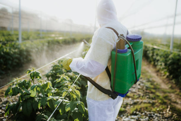  Yarrow Point, WA Pest Control Pros